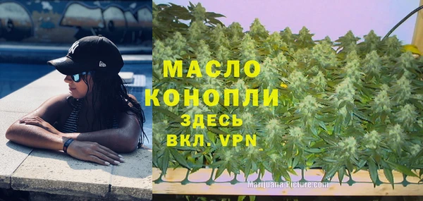 гашик Вязьма