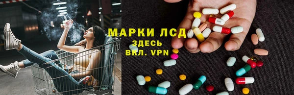 гашик Вязьма
