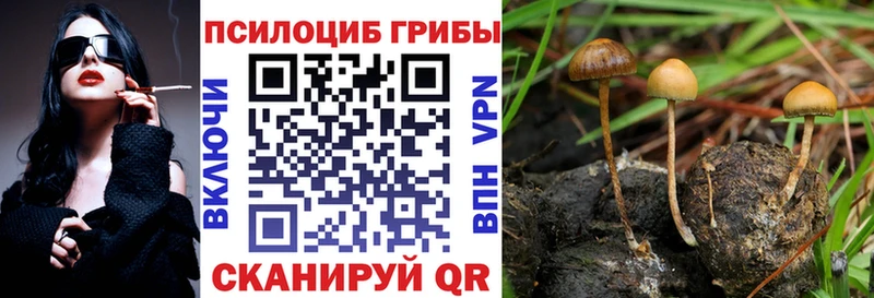 Псилоцибиновые грибы Psilocybe  Ноябрьск 